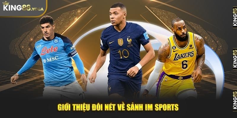 Giới thiệu đôi nét về sảnh game IM SPORTS