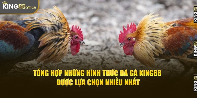 Tổng hợp những hình thức đá gà tại king88