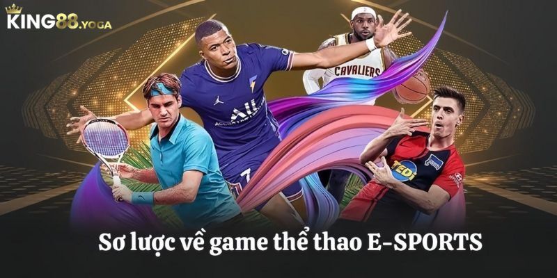 Đôi nét sơ lược về thể thao E SPORTS 